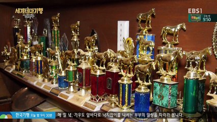 Australia-4-Wonderful Explores in the middle of summer-20161229