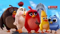 The Angry Birds Movie Finger Family | Nursery Rhymes Lyrics Der Angry Birds Film Kinderreime