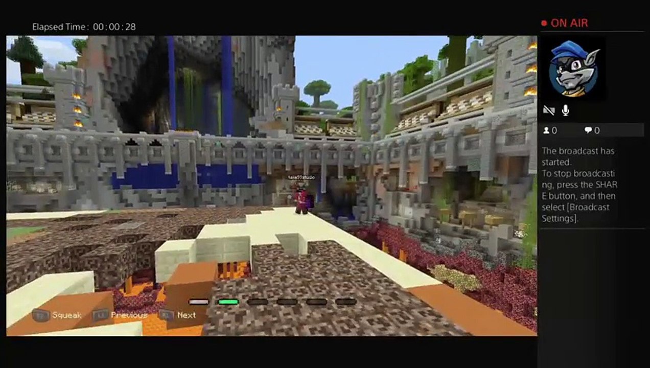 Minecraft (14)