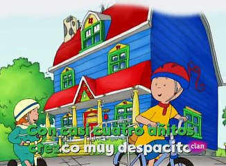 Caillu - 14 - Aceitunas a todas horas