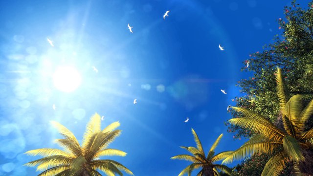 Assassin's Creed 4 Black Flag - Gameplay Walkthrough Part 1 - Prologue [4K 60FPS]