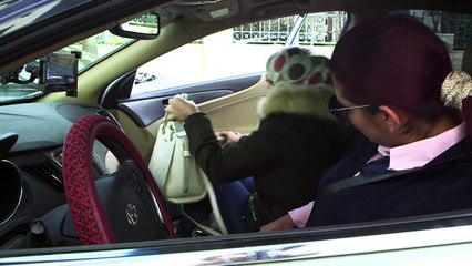 Women at wheel of 'pink taxis' challenge Jordan norms