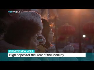 High hopes for the Year of the Monkey, Daniel Epstein reports