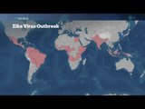 WHO convenes emergency committee on outbreak of Zika virus