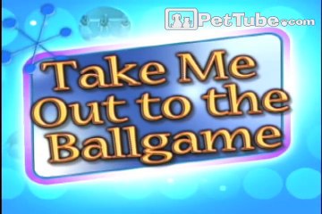 Funniest Pets & People  Episode 3- PetTube