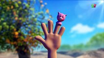 Dito di animale Famiglia 3D | Filastrocca | 3D Educational Video | Animal Finger Family 3D