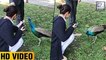 (VIDEO) Anushka Sharma Feeding Peacock | Virat Kohli