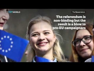 Picture This – Dutch Referendum