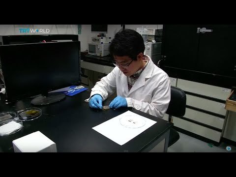 Insulin patch can replace painful injections, Julia Mills reports