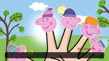 Peppa Pig Finger Family | BingBing TV - Nursery Rhymes For Children