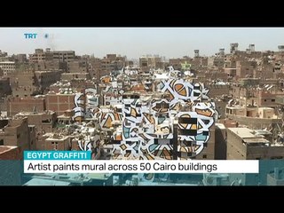 Artist paints mural across 50 Cairo buildings