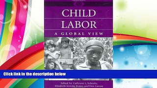 Read  Child Labor: A Global View (A World View of Social Issues)  Ebook READ Ebook
