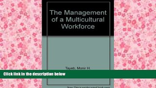 Read  The Management of a Multicultural Workforce  Ebook READ Ebook