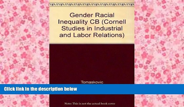 Read Gender Racial Inequality at Work: The Sources Consequences of Job Segregation (Cornell
