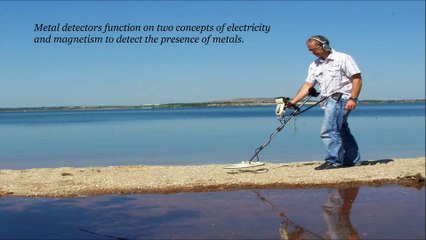 Metal Detectors & Body Scanners