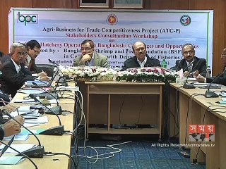 'সম্ভাবনা থাকা সত্ত্বেও কমছে গলদা চিংড়ির উৎপাদন'