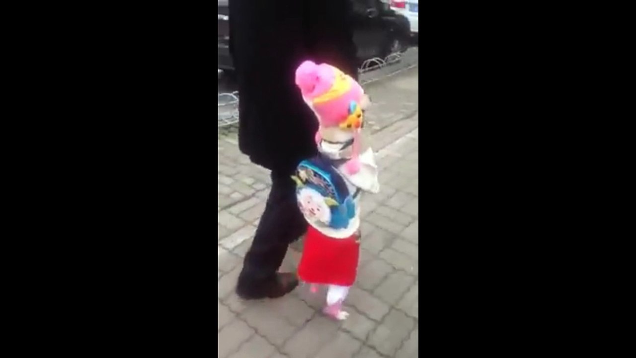 FUNNY DOG