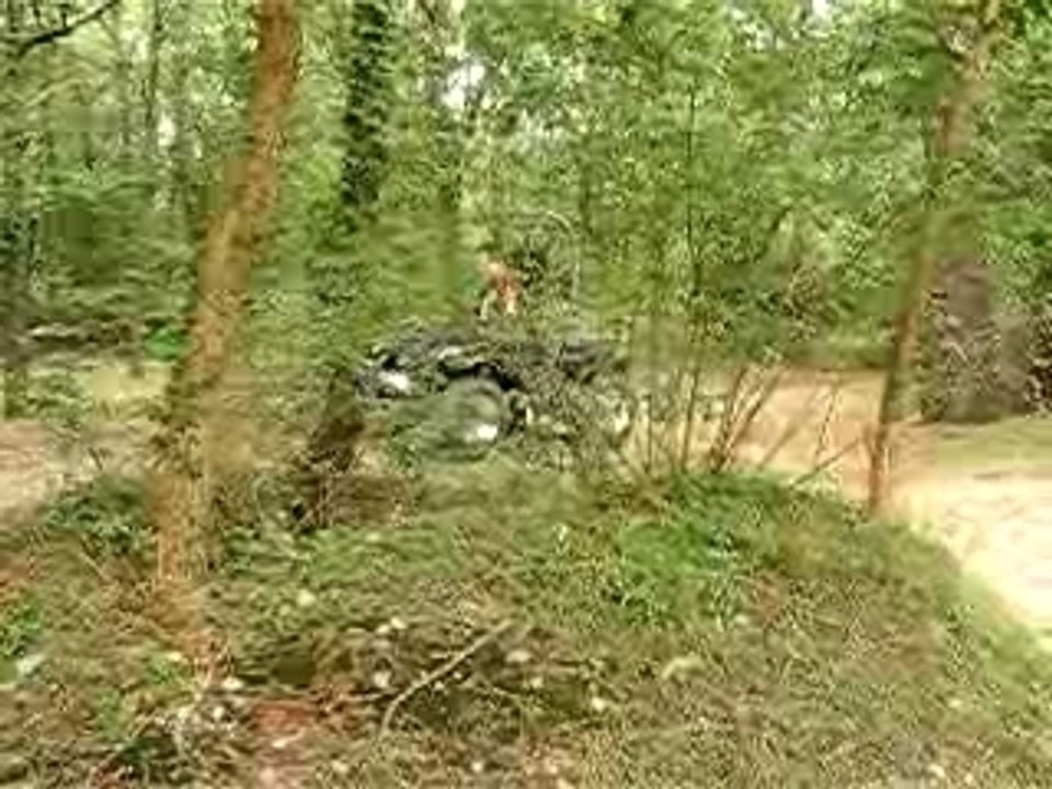 QUAD TOUT TERRAIN