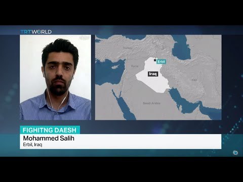 Iraqi forces have entered Fallujah on three fronts, Mohammed Salih reports