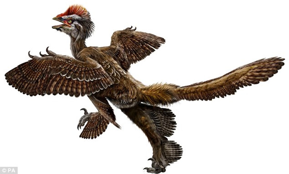 Prehistoric Predators- Terror Bird - video Dailymotion
