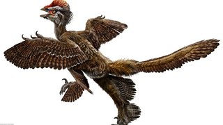 Prehistoric Predators- Terror Bird