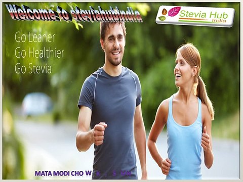 #Stevia Sweetener Drops Farming Condition Manufacturers in Punjab, India