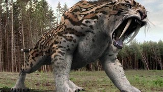 the cat Prehistoric Predators -Sabertooth.