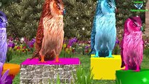 Gorilla Vs Birds Names & Dancing || Nursery Rhymes For 3D Children Song