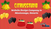 Discount Offers On Web Design | LogoDesign | SEO Services in Mississauga
