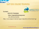 SAP EHS Online Training In Hyderabad,Bangalore,Delhi