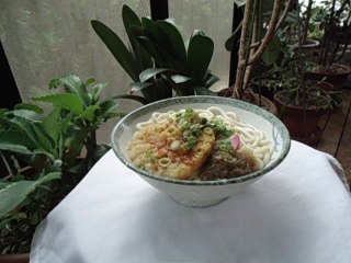 Udon  Japanese food うどん