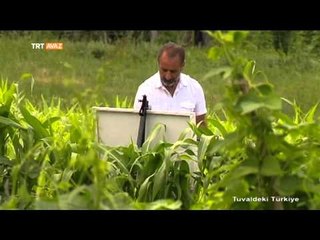 Dumanlı Yaylası ve Erzincan Köyleri - Tuvaldeki Türkiye - TRT Avaz