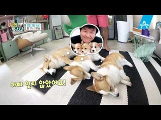 [예고] 변정수 가족의 대중소 일일 펫시터 도전기!