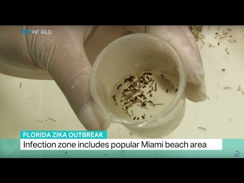 Florida Zika Outbreak: Officials confirm more locally transmitted cases, Steve Mort brings more