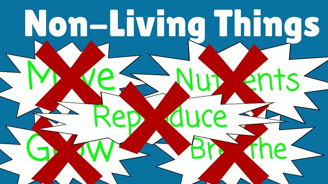 Living Things and Nonliving Things Living Nonliving Kid's Science 1st Grade Learning