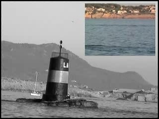 ** Bandol : DAMIER **