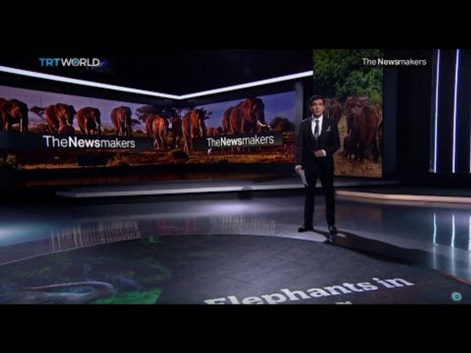 The Newsmakers: Brazil without Rousseff and Spain's Political Deadlock