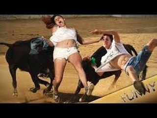 Giỡn mặt với bò điên thì đừng trách sao chết không nhắm mắt nhé