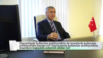 Prof.Dr. Hüseyin Yılmaz - Hayvanlardaki antibiyotikler insanların bağışıklık sistemini etkiler mi