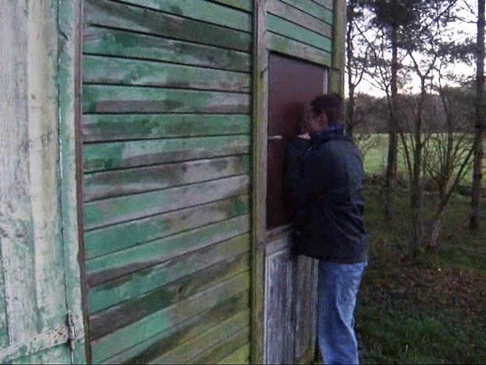 Balade en forêt
