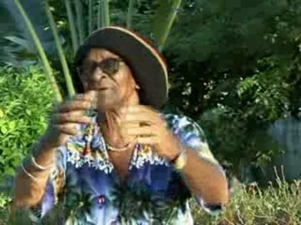 Michel legris ' dalma dalma