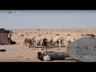 Tunisia Drought: Religious leaders ask people to pray for rain