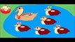 Five Little Ducks Nursery Rhyme - Five Little Ducks - Childrens Song - Nursery Rhyme for Children