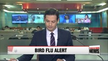 Korea on alert against bird flu during year-end season