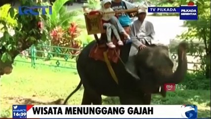 Ratusan Tukang Becak Berunjuk Rasa Tolak Ojek Online