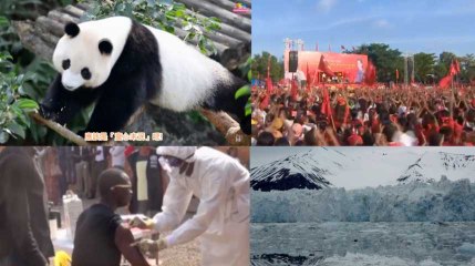 Tour du monde des bonnes nouvelles de 2016