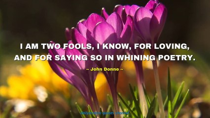 John Donne Quotes #2