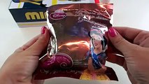 Minions Box full of Frozen Disney Princesses Hello Kitty Minions Blind Bags Opening