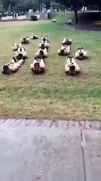 Pakistan Army Training - Funny Clip