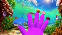 Animals Finger Family Songs For Babies | Lion Sharks Rhino Dolphin And More Finger Family Rhymes